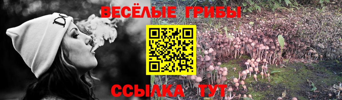 Крымск  Галлюциногенные грибы Psilocybe  Вход с VPN  Псилоцибиновые грибы мицелий 